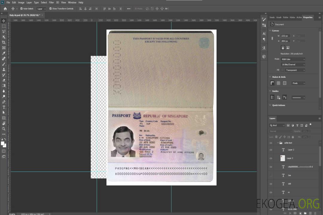 Pass Singapour (2006-2017) template